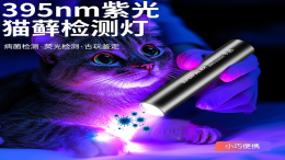 紫光手电筒的用途